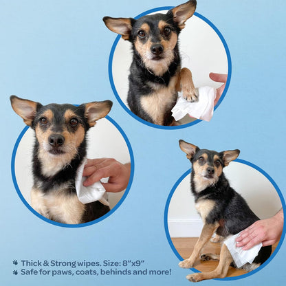 Best Pet Supplies Pet Wipes for Dogs - Dog Wipes Cleaning Deodorizing, for Coats, Ears, Paws - Hydrating, Aloe Vera