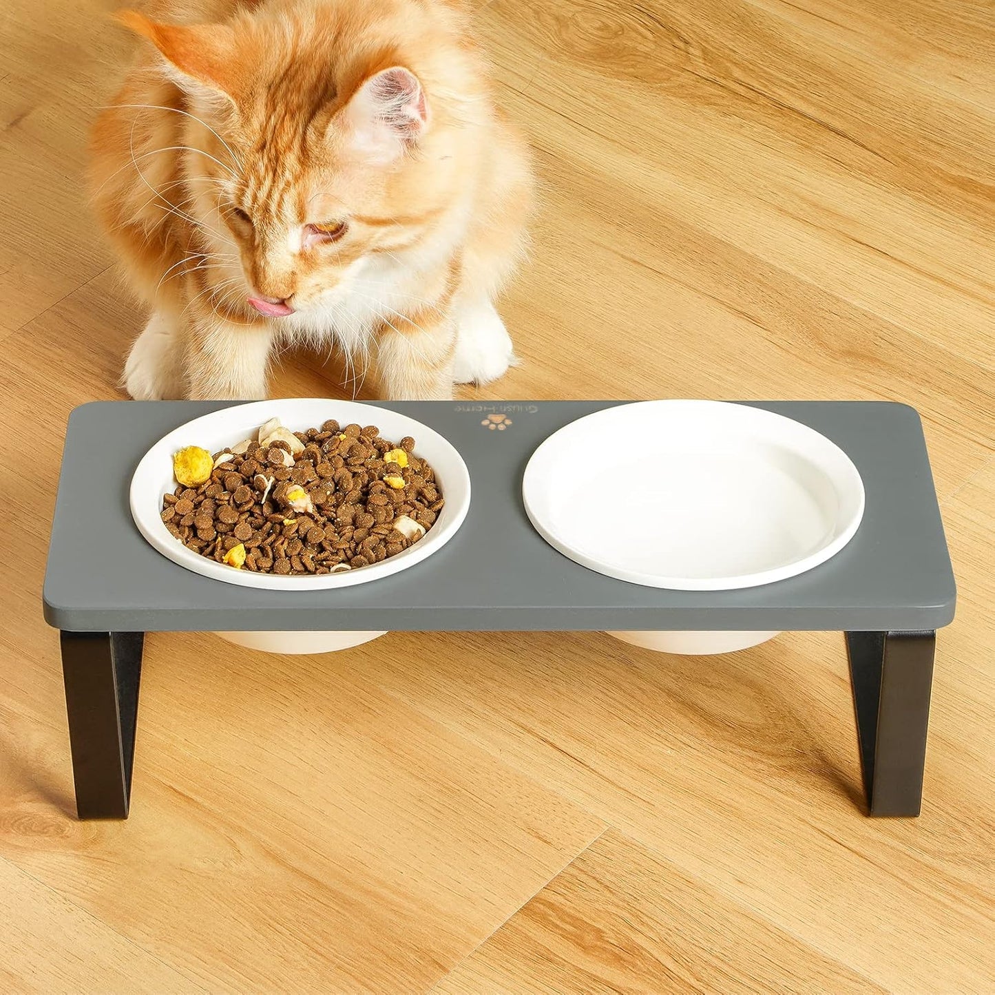Sunhoo Ceramic Elevated Cat Bowls Raised Puppy Dishes for Food and Water Tilted Wooden Stand for Indoor Cats 5.5 inch Wide Double Dish Orthopedic Reduces Vomiting (Grey)