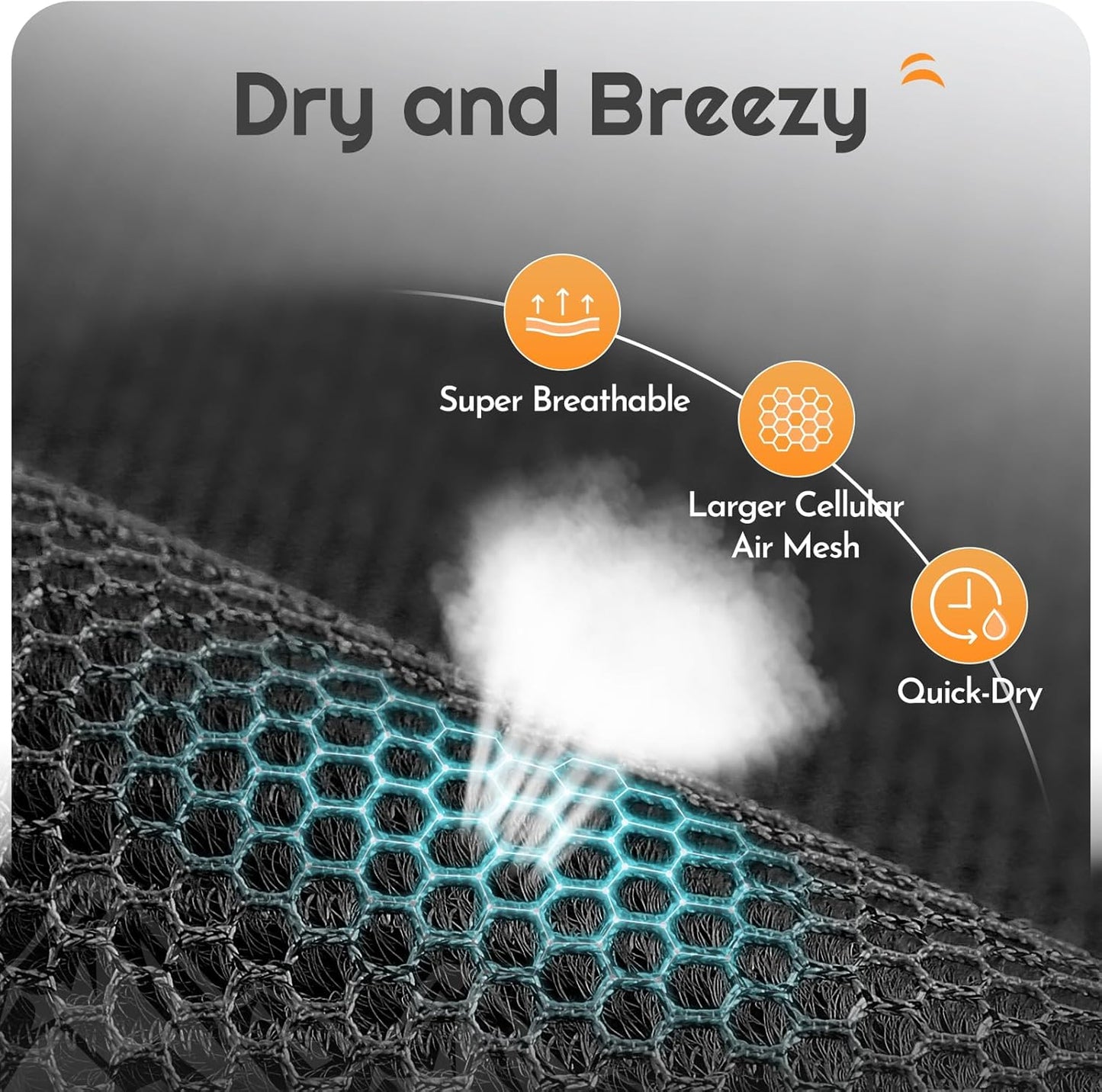 Eagloo Small Dog Harness and Leash Set, Step in Puppy Vest with Breathable Soft Mesh, Walking Reflective Pet Harness for Medium Small Dogs, Black, M