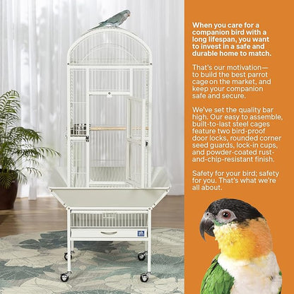 Prevue Pet Products 34512 Dometop Bird Cage, Small, Chalk White