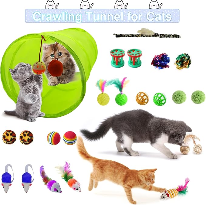 39PCS Kitten Starter Kit, Ideal for Cats Under 6 Months, Cat Supplies, Featuring 23-Piece Toy Set, Bed, Carrier, Single-use Litter Box, Bowls & More, Perfect for New Cat Owners - Blue