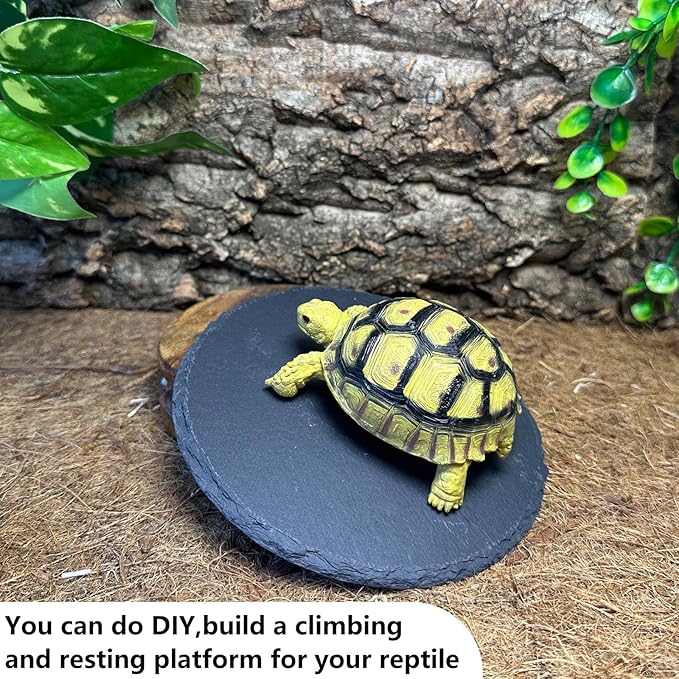 Reptile Basking Platform 6.0IN Turtle Rock Slate Plate Food Bowl Feeding Dish Tortoise Bathing Resting Terrace for Bearded Dragon Chameleon Gecko Snake Lizard Frog Newt