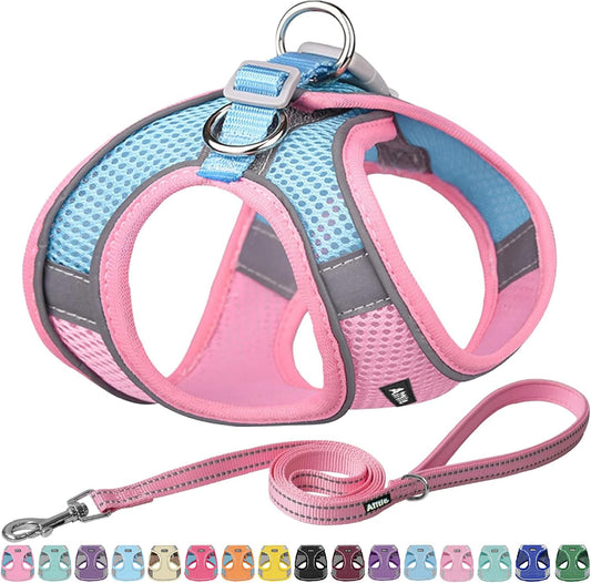 AIITLE Escape Proof Dog Harness - Step in Adjustable Dog Harness No Choke Over with Breathable Mesh and Quick-Release Buckle for Summer- Outdoor Walking, Camping, Training for Medium Dogs Pink XL