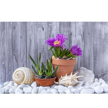 Large River Rocks for Landscaping 20lbs, 3-4 Inch White River Rocks, Hand-Picked Natural Stones for Garden Design Fish Tank, Pathways and Backyard