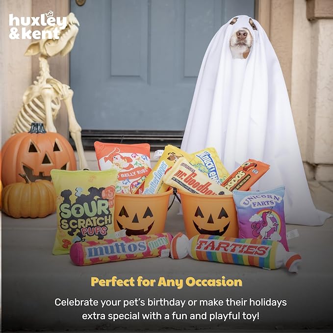 Huxley & Kent Funny Dog Toy w/Squeaker – Power Plush Squeaky Dog Toys for Small, Medium & Large Dogs – Soft Stuffed Animal for Indoor Play & Fetch - Sour Scratch, Large