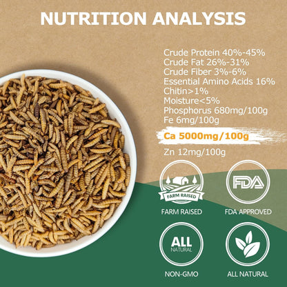 Premium Dried BSF Larvae for Chickens - 1LB High Calcium Supplement, Molting and Laying Support, Non-GMO & High-Protein Treats, Food for Wild Birds, Ducks, Repitle | Top Grade BSF
