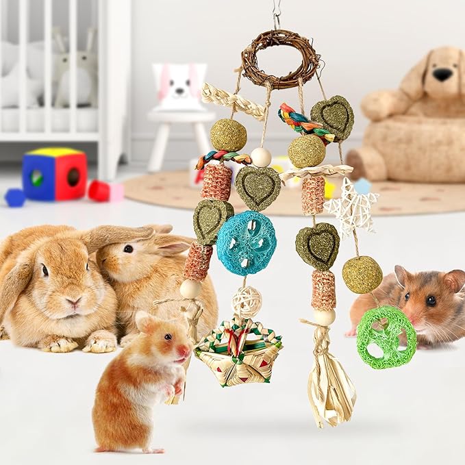 Bunny Chew Toy, Rabbits Cage Hanging Chew Toys and Treats Rattan Ring with Snacks Water Grass Wooden Block Carrot for Guinea Pigs Chinchillas Hamsters Rats and Other Small Pets Teeth Grinding