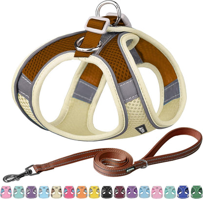 AIITLE Comfortable Dog Harness and Leash Set for Walking - Summer Step in Vest Harness,Reflective Bands, Adjustable No Pull Puppy Essentials, for Small Dogs and House Cats Beige XS