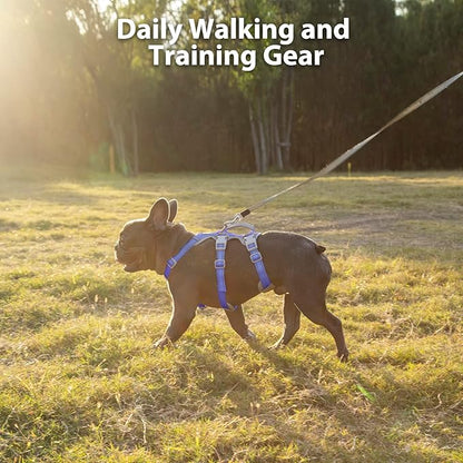 Huntboo Escape Proof Dog Harness, No Pull Reflective Harness with Lift Handle, Adjustable Pet Vest with Front and Back Leash Clips for Small Medium Large Dogs Walking Hiking Training (Vista Blue,L)