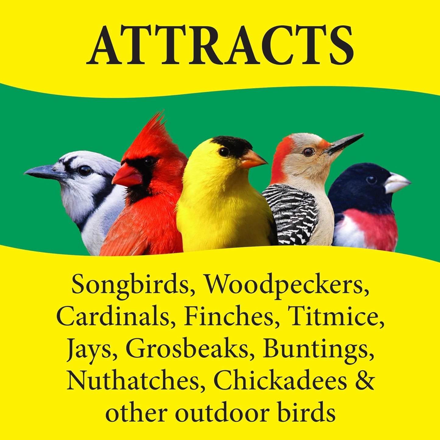 Wild Delight 366200 20-Pound Nut N-Berry Birdfood, 20 lb