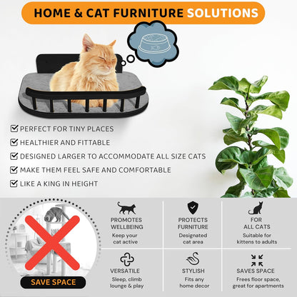 Cat Wall Shelves with 3 Steps – Modern Mounted Cat Wall Furniture & Shelf, Premium Hardwood Bed for Climbing, Sleeping & Lounging, Indoor Hammock for Large Cats - Black