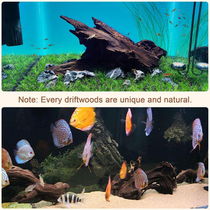 LYPHARD AQUARIUMS Natural Driftwood for Aquarium, 9-15" Large Assorted Branch Decorations for Reptile Hide, Fish Tank, 1 Pcs