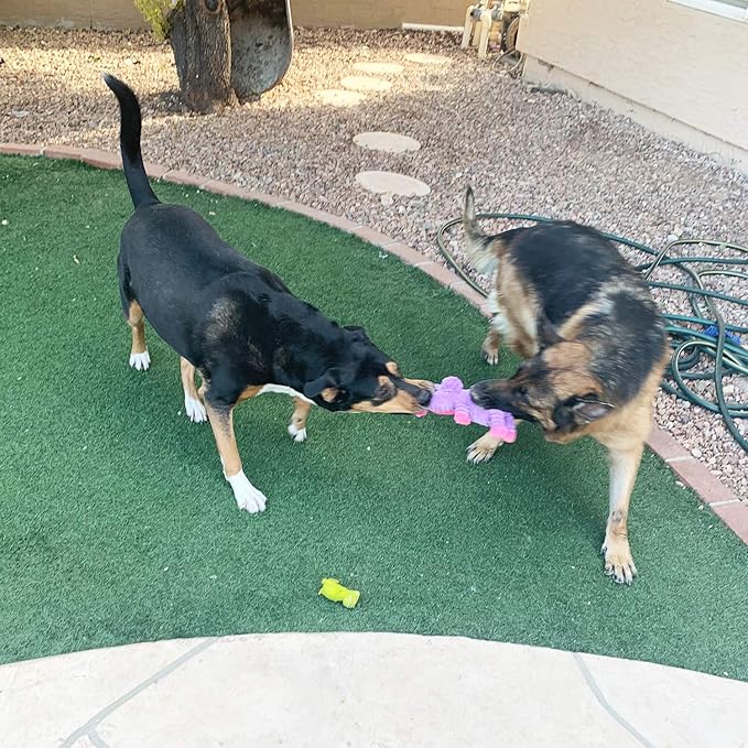 Jalousie Plush Toys Assortment Value Bundle Puppy Pet Mutt Squeak Toy for Medium Large Dogs (5 Pack Corduroy)