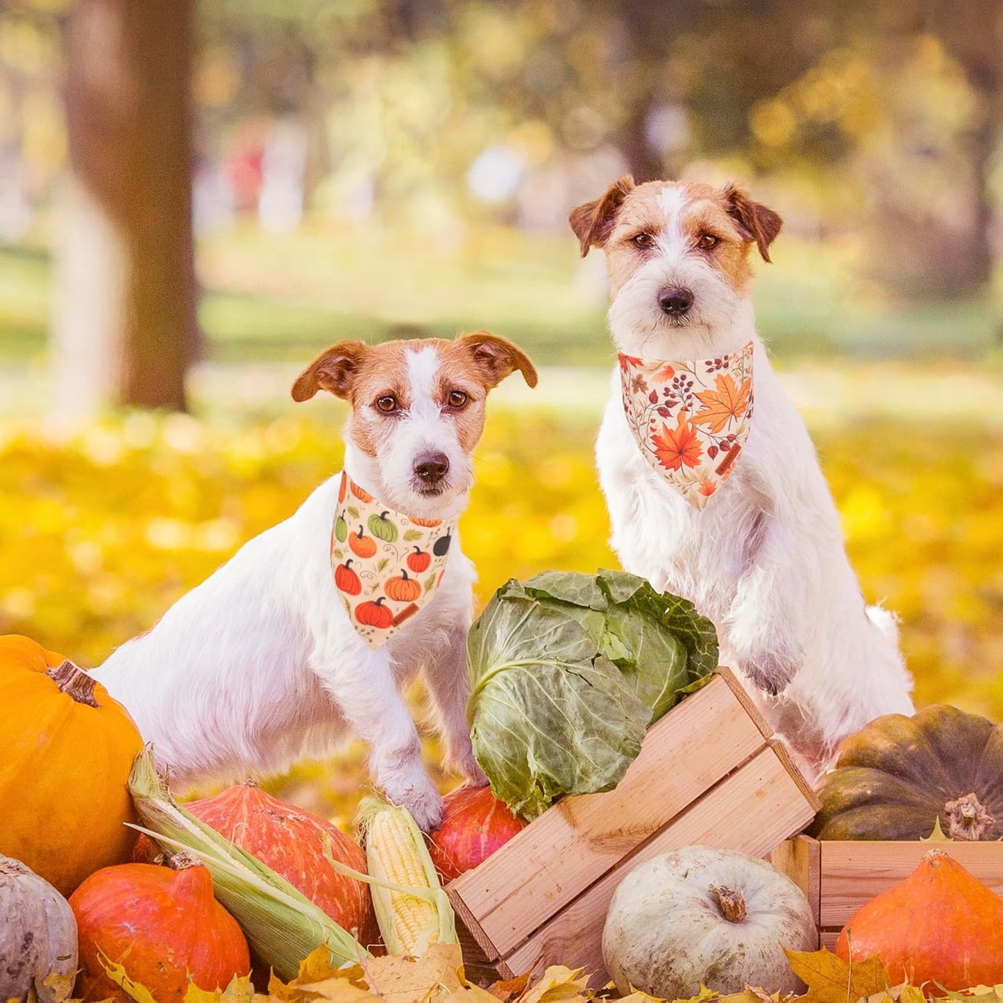 ADOGGYGO Fall Dog Bandana, Pumpkin Maple Leaf Autumn Thanksgiving Pet Scarf, Adjustable Fit Fall Bandanas for Small Dogs Pets (Small)
