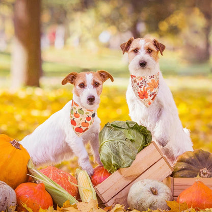 ADOGGYGO Fall Dog Bandana, Pumpkin Maple Leaf Autumn Thanksgiving Pet Scarf, Adjustable Fit Fall Bandanas for Small Dogs Pets (Small)
