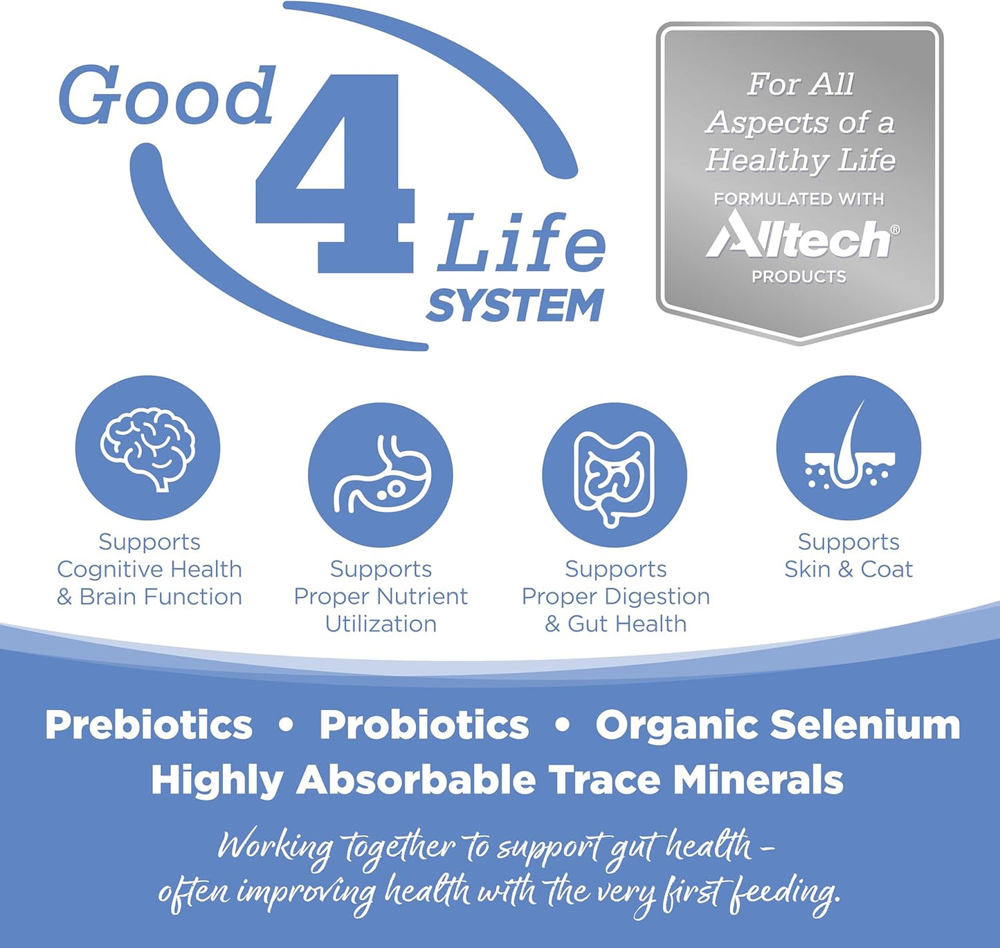 Nutri-Source Pure Vita Grain-Free Turkey And Sweet Potato Dry Dog Food, 5 Pound Bag