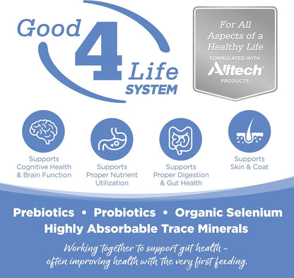 Nutri-Source Pure Vita Grain-Free Turkey And Sweet Potato Dry Dog Food, 5 Pound Bag