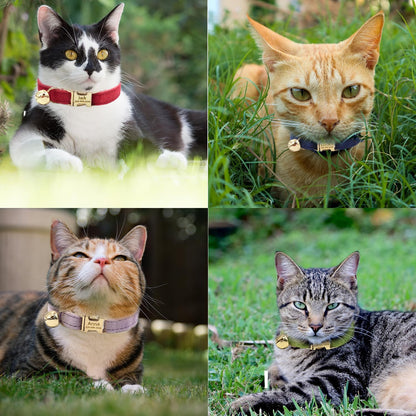 Personalized Cat Collar with Custom Name Plate, Customize Engraved Gold Metal Buckle, Adjustable Velvet Tough Nylon Cat ID Tag Collars with Bell