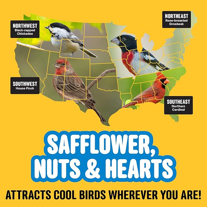 Safflower, Nuts & Hearts Wild Bird Seed – 10 lb. Gourmet Bird Food with Safflower, Sunflower Hearts & Peanuts – No Corn, Milo or Millet, No Waste Bird Food for Outside Feeders