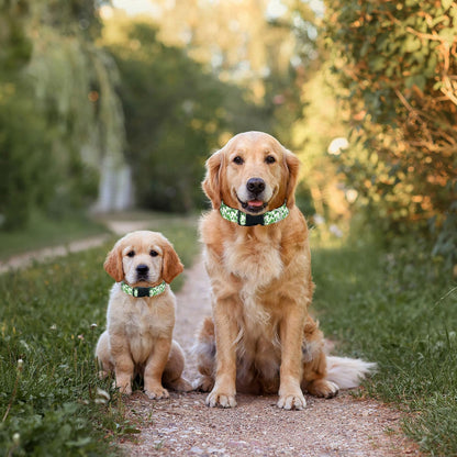 Green Shamrock St Patrick's Day Pet Collars Dog Collars Soft Elastic Neck Strap for Female Male Puppy Cats