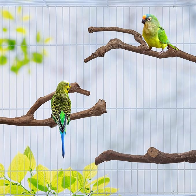 Mogoko 5PCS Bird Perch Natural Wood Grape Stick Stand, 3 Grape Stick Paw Grinding Fork Parakeet Chewing Stick 2 Parrot Stand Branch, Chewing Exercise Branches Bird Cage Accessories