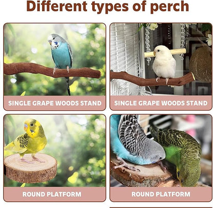 5PCS Bird Perch Stand Natural Wooden Parrot Stand Branch,3 Grape Wood Perch,2 Platform,Paw Grinding Fork Parakeet Chewing Stick Exercise Training Branches for Cockatiels,Small Birds