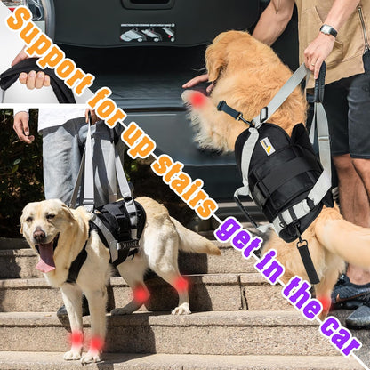 Dog Lift Harness for Large Dogs,Full Body Dog Sling Carrier with Handle,for Up Stair/Back Legs Support/Dogs Joint Injuries/Arthritis (XX-Large)