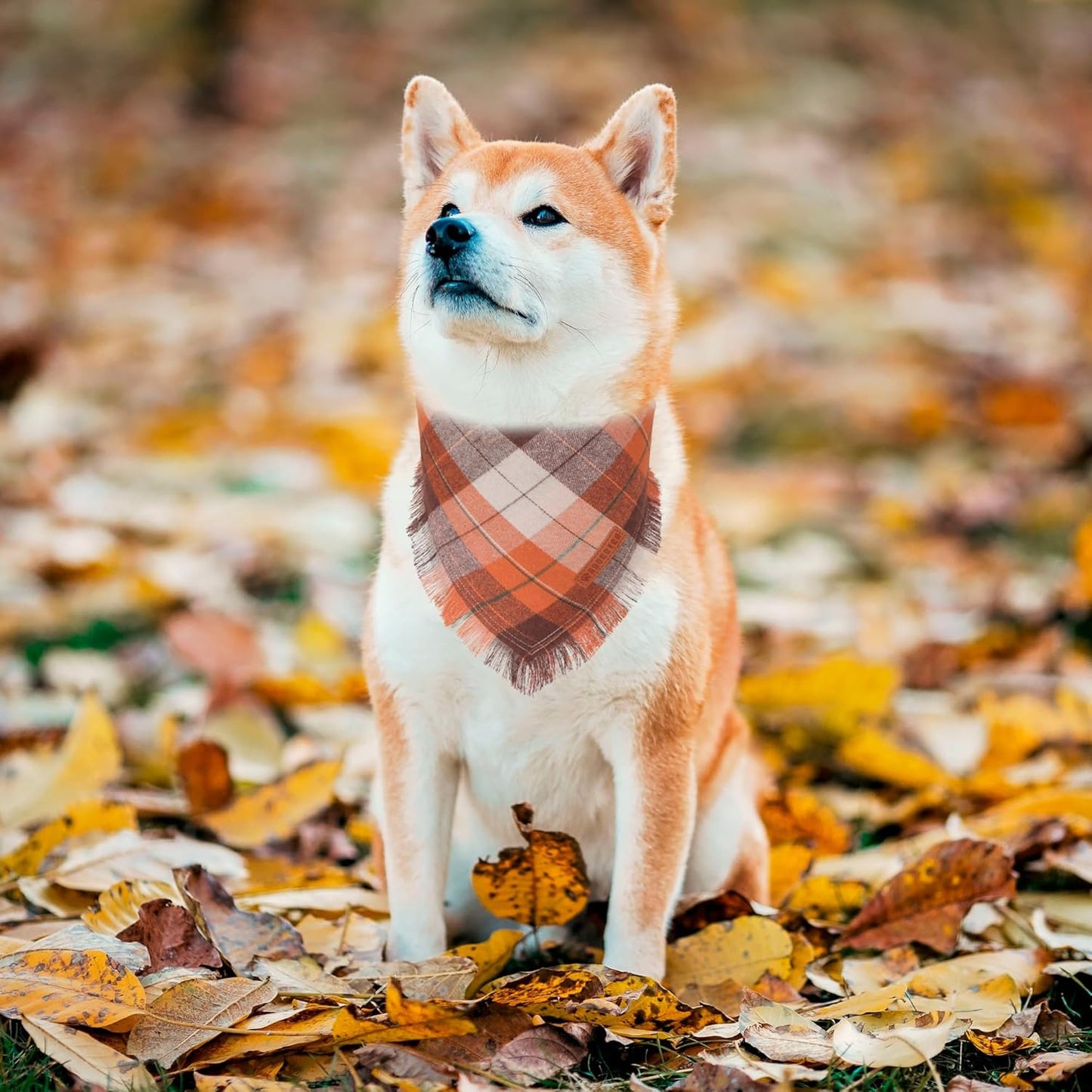 ADOGGYGO Fall Dog Bandanas with Tassels Edges, Stylish Plaid Pet Halloween Thanksgiving Scarf Bib, Orange Plaid Fall Bandanas for Medium Large Dogs Pets (Large)