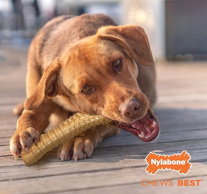 Nylabone Power Chew Textured Knuckle Bone - Dog Toys for Aggressive Chewers - Peanut Butter Chew Toy - Large Dog Chew Toys - Peanut Butter Flavor, X-Large - Over 50 Ibs. (1 Count)