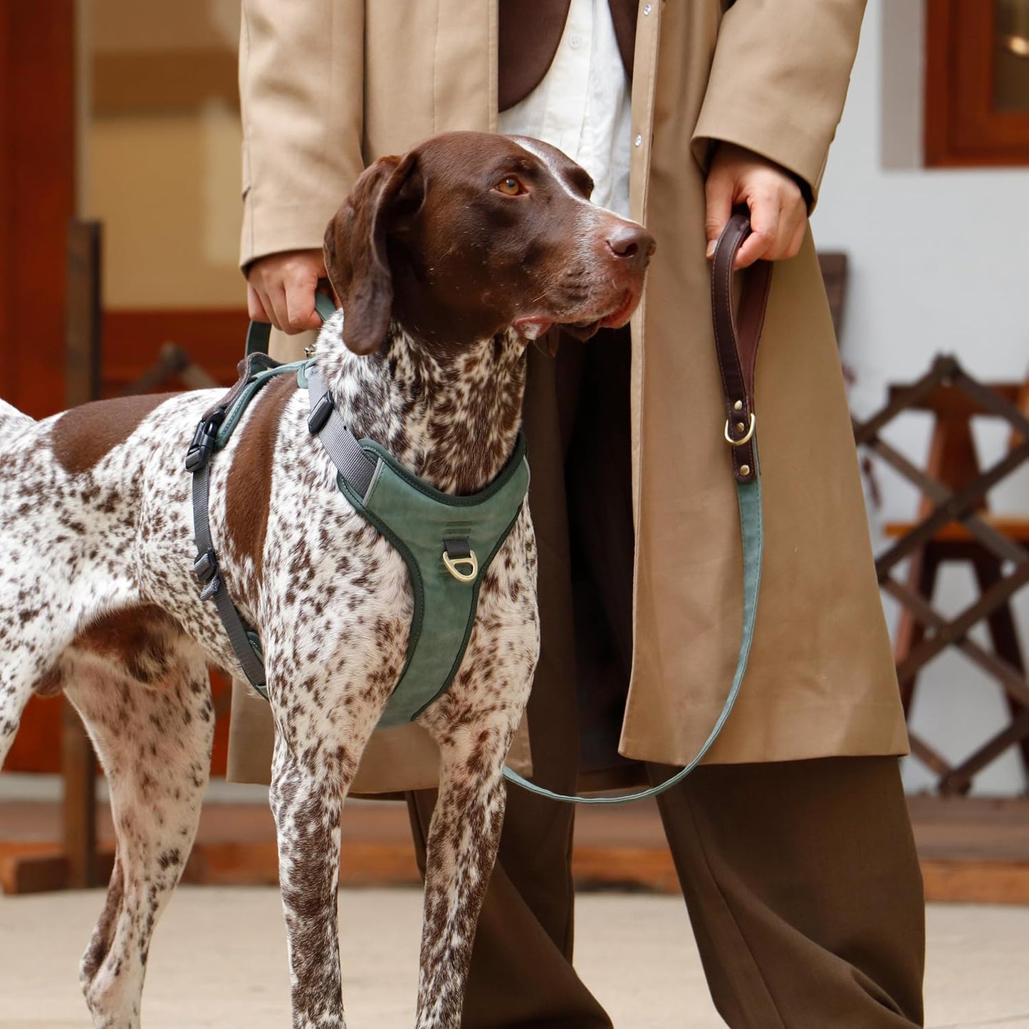 No Pull Dog Harness Medium Sized Dog,Stylish PU Leather Vest with Easy Control Handle,No Choke Front Clip with 2 Metal Leash Clips,Reflective & Adjustable for Walking,Green,Chest 27-33"