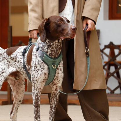 No Pull Dog Harness Medium Sized Dog,Stylish PU Leather Vest with Easy Control Handle,No Choke Front Clip with 2 Metal Leash Clips,Reflective & Adjustable for Walking,Green,Chest 27-33"