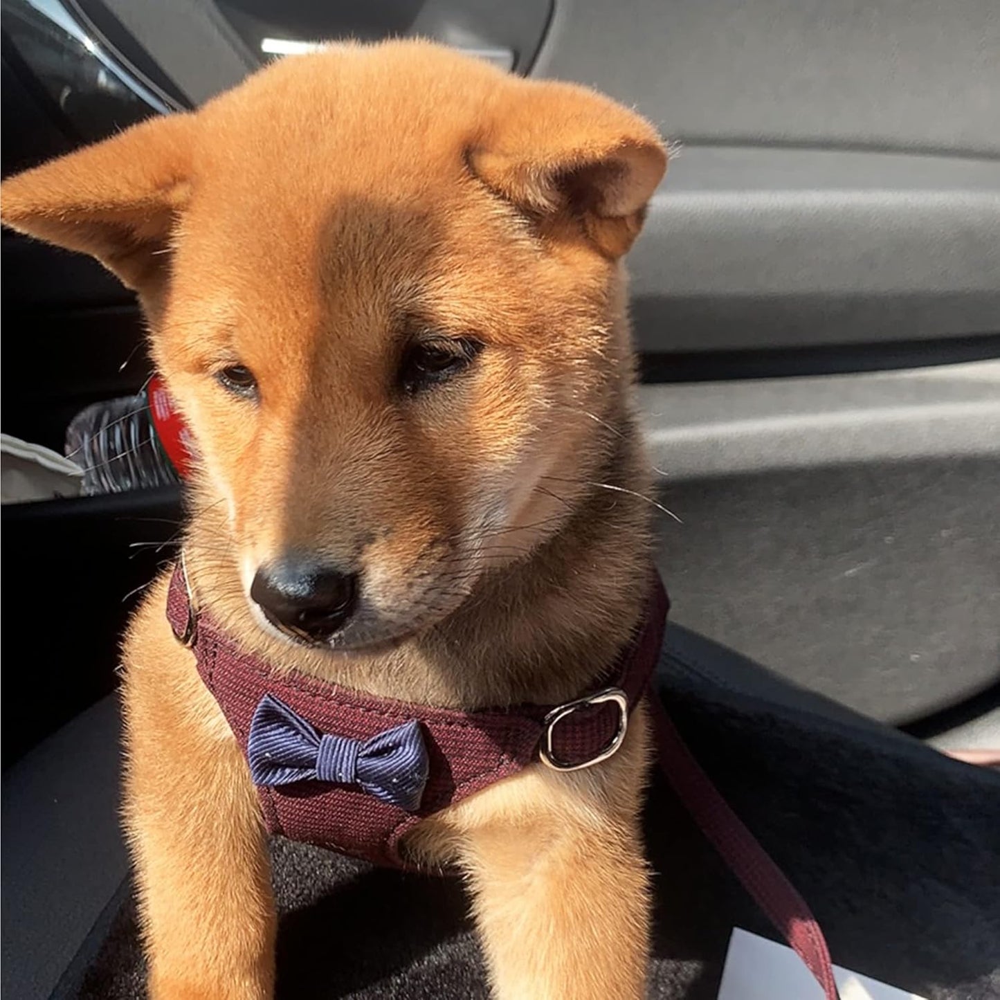 Puppytie No Pull Dog Harness with Multifunction Dog Leash,Soft Adjustable No Choke Escape Proof Pet Harness Vest for Medium Dogs,Plaid deep red,M