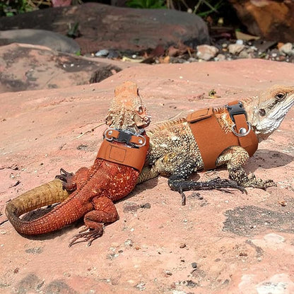 3 Sizes Bearded Dragon Harnesses and Leash Set, Adjustable Soft Leather Lizard Leash Harness Small Animal Walking Vest with Traction Rope for Small Reptiles Squirrel Rat Bearded Dragon Lizard