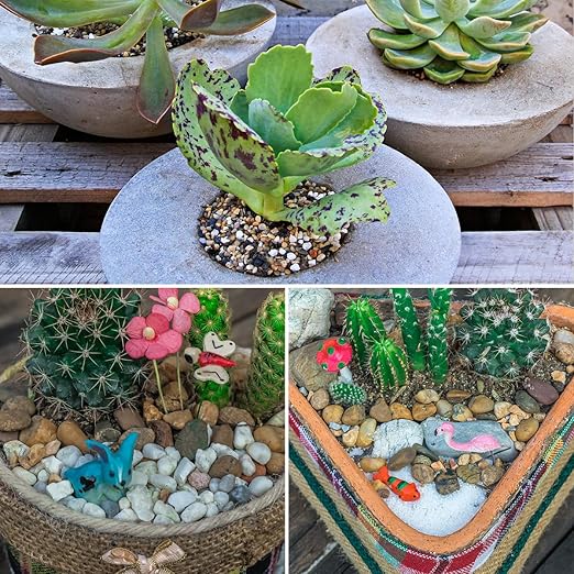 10LB Aquarium Gravel, 1/4" Pea Gravel for Fish Tank, Small River Rocks for Garden Decoration, Landscaping, Vase Filling, Flower Pot Paving(4-8MM)