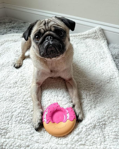 Nylabone Donut Power Chew Toy for Dogs, Dog Toys for Aggressive Chewers, Bacon Glazed Flavor, Medium Dogs - Up to 35 lbs, 1 Count