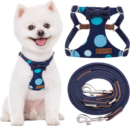 Puppytie No Pull xs Dog Harness with Multifunction Dog Leash,Soft Adjustable No Choke Escape Proof Pet Harness Vest,Polka dots Starry Sky,XS