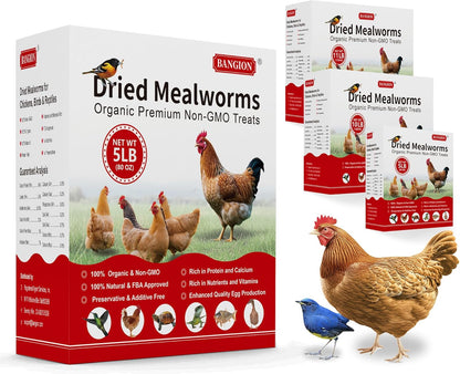 Organic Dried Mealworms for Chickens 5 LB Natural Non-GMO Mealworms High Protein Chickens Feed Meal Worms for Chicken Wild Birds Bluebirds Ducks Turtles Reptiles Laying Hens Treats & Food