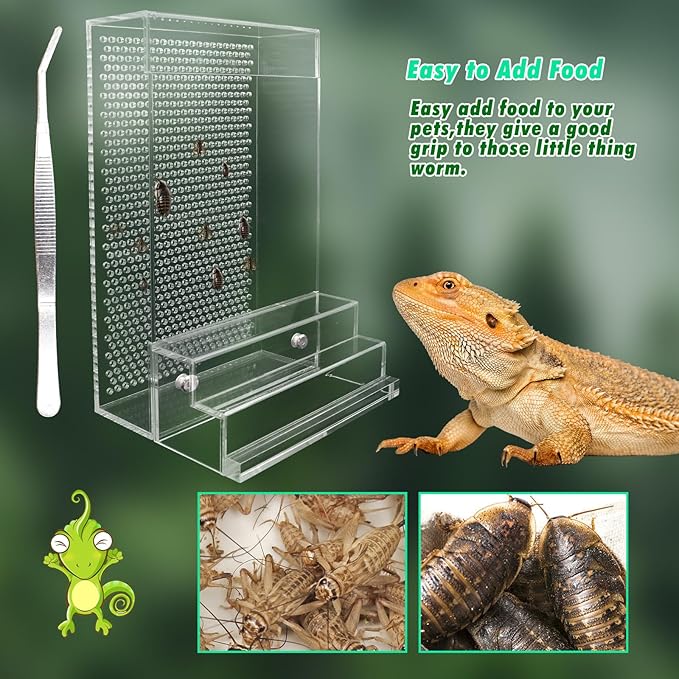 Bearded Dragon Feeder, Chameleon Bug Bowl Kit with Steps, Transparent Acrylic Reptile Large Insect Box, Tank & Aquarium Accessories for Reptile Lizard Gecko Frog - 8.2 × 4.3 × 4.7 Inch