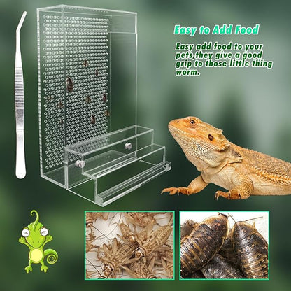Bearded Dragon Feeder, Chameleon Bug Bowl Kit with Steps, Transparent Acrylic Reptile Large Insect Box, Tank & Aquarium Accessories for Reptile Lizard Gecko Frog - 8.2 × 4.3 × 4.7 Inch