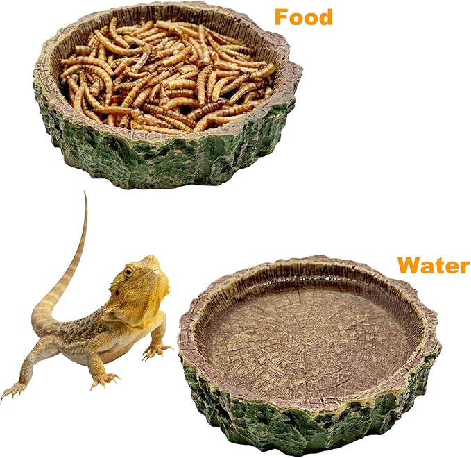2 Pack Reptile Food Bowls, Reptile Feeding Terrarium Bowls for Bearded Dragon Lizard Frog Gecko Tortoise Hermit Crab Snail (Brown A)