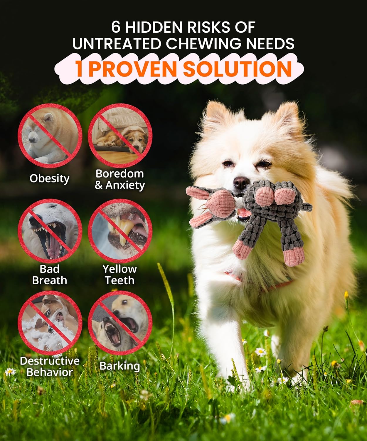 Squeaky Plush Dog Toys - Adorable Animal Designs with Soft Cotton Filling, Cute Stuffed Dog Chew Toys for Small, Medium Non-Aggressive Chewing Dogs Chewer (Grey - Donkey)