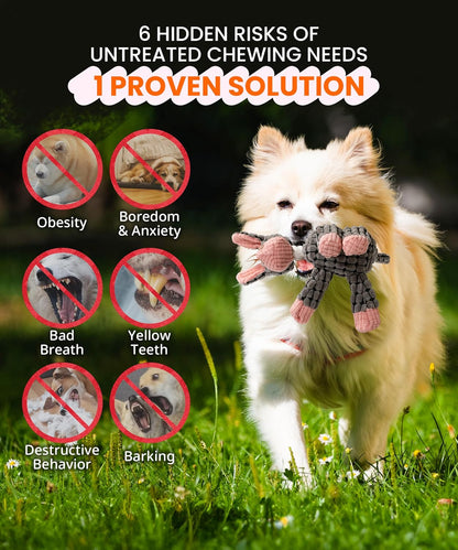 Squeaky Plush Dog Toys - Adorable Animal Designs with Soft Cotton Filling, Cute Stuffed Dog Chew Toys for Small, Medium Non-Aggressive Chewing Dogs Chewer (Grey - Donkey)