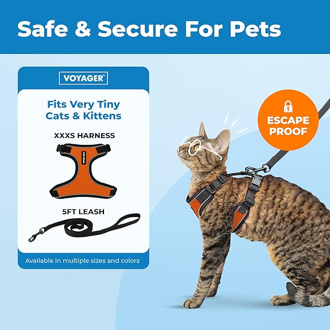 Voyager Escape Proof Cat Harness and Leash Set with Reflective Stitching, Neoprene Handle 5ft - Supports Small, Medium and Large Cats, Kittens for Walking by Best Pet Supplies - BT-Orange, XXXS