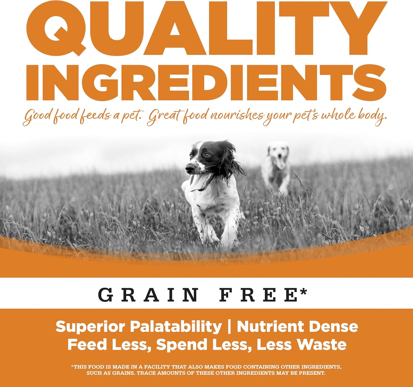 NutriSource Grain Free Lamb Recipe Dog Food, Premium Wet Dog Food, 12.3 Ounce (Pack of 12)