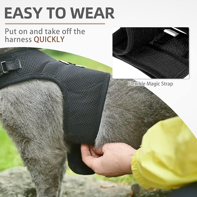 PUPTECK Soft Mesh Cat Vest Harness and Leash Set Puppy Padded Pet Harnesses Escape Proof for Cats Small Dogs Rabbits Bunny, Black Medium