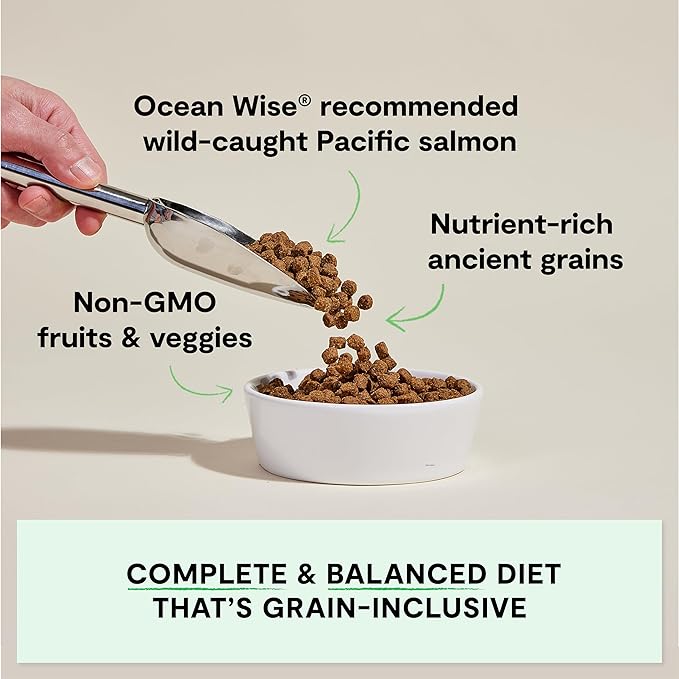 Open Farm, Ancient Grains Dry Dog Food, Protein-Rich & Nutrient Dense, 90% Animal Protein Mixed with Non-GMO Fruits, Veggies and Superfoods, Wild Caught Salmon Recipe, 4lb Bag