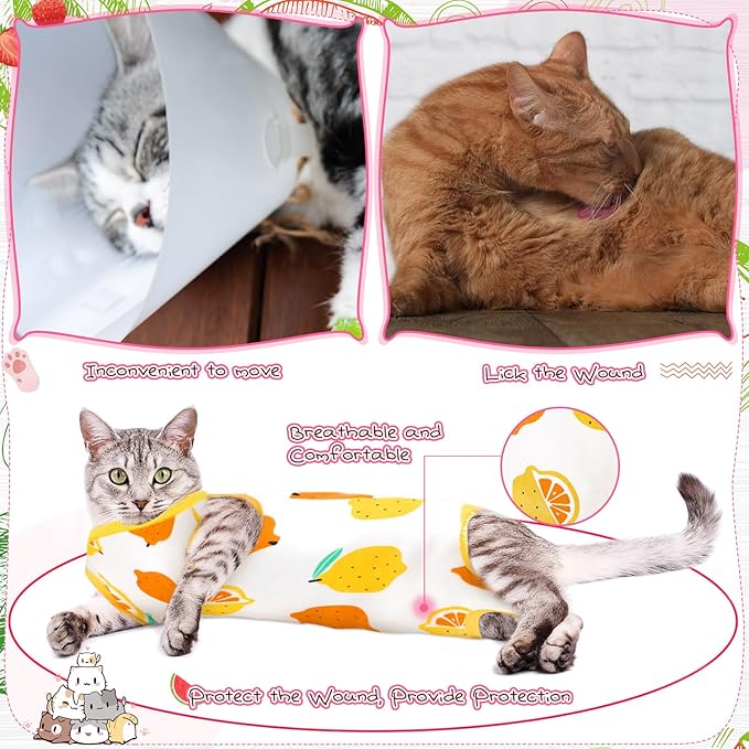 Nuanchu 3 Pieces Cat Recovery Suit Kitten Recovery Suit E-Collar Alternative for Cats and Dogs Abdominal Skin Anti Licking Pajama Clothes Sets(Small,Fruit Style,Colorful)