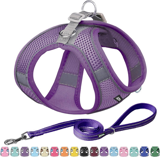 AIITLE Small Harness for Puppy with A Leash - Summer Dog Vest Harness with Super Breathable Mesh, Reflective No-Pull Pet Harness for Outdoor Walking, Camping for Small Dogs, Cats Pure Purple XXS