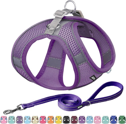 AIITLE Step in Dog Harness and Leash Set - Summer No Pull Escape Proof Vest Harnesses with Soft Mesh and Reflective Bands, Adjustable Pet Outdoor Harnesses for Small and Medium Dogs Pure Purple M