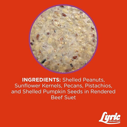 Lyric Delite High Protein Wild Bird Seed Suet Cakes for Wild Birds, 12 oz. (12 Pack)